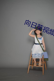 向日葵(ku)视频色(sè)板