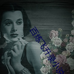 百煉飛升錄小說