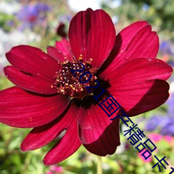 尊龙凯时·(中国)官方网站