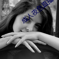成人夜(夜)色直播(播)app下载