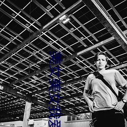 美女美女我爱你