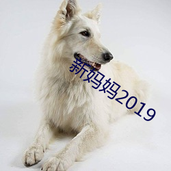 新妈妈2019