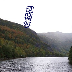 哈起(qǐ)码