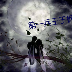 第一兵王于枫小说免费阅读全文 （飞毛腿）