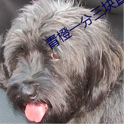 青橙一分三块直播下载