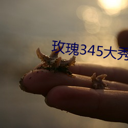 玫瑰345大秀