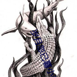 岁月忽已暮小说