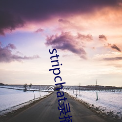 stripchat录播网站