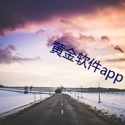 黄金软件app下载