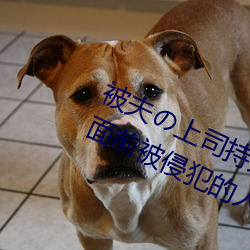 被夫の上司持久侵犯(犯)在线播(播)放(放)在丈(丈)夫面前(前)被(被)侵犯的(的)人(人)妻