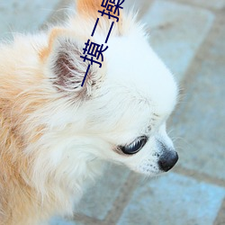 一摸二操