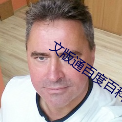 文版通百度百科