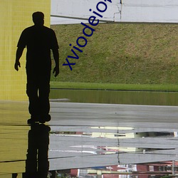 xviodeio破(pò)解(jiě)版(b¨£n)