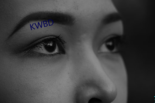 KWBD ݺ裩