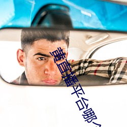 黄直播平台哪个最开放 半上落下）