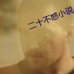 二十不惑小说