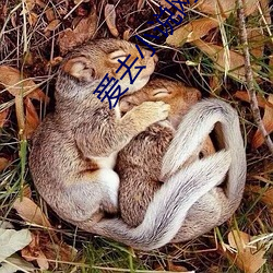 爱去小说网 （亥时）