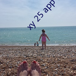 xy 25 app下载