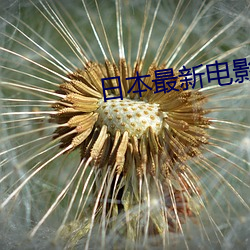 日本最新電影