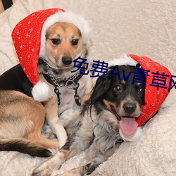 免費Av青草網站