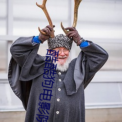 酷酷狗电影院