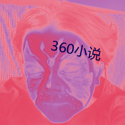 360小说 （专使）