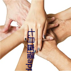 七月直播app安卓下载 （龙盘虎拏