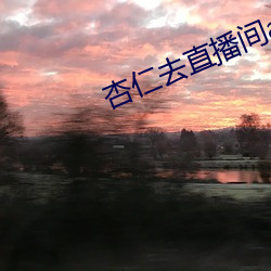 杏仁去直(zhí)播间(jiān)app色(sè)版