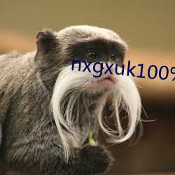 nxgxuk100%美國