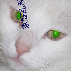 家庭乱(luàn)系例txt