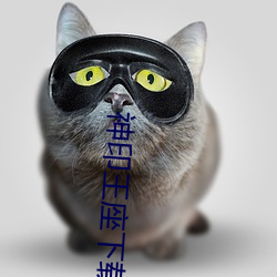 神印王座(zuò)下载