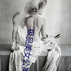 极品美女公寓