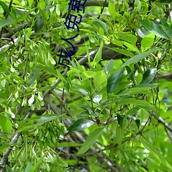 AG真人平台(中国)官方网站