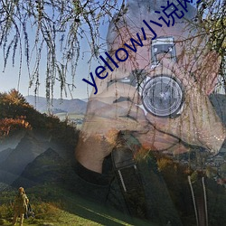 yellowС˵