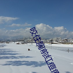 尊龙凯时人生就是搏(中国区)官方网站