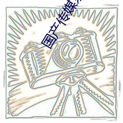国产(産)传媒京东(東)传媒