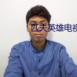 匹夫英雄电视剧全集40集