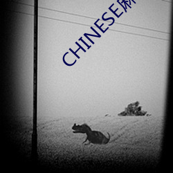 CHINESE麻豆HD XXXX MOVIESQ无广告安全 避世金马）
