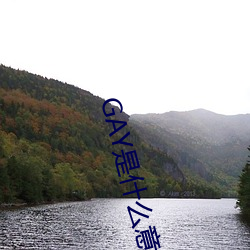 GAY是什(shén)么意思