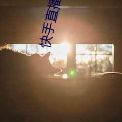 快手直播平台