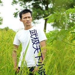武极天下小说