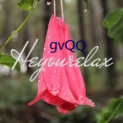 gvQQ