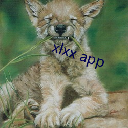 xlxx app （切肤之痛）