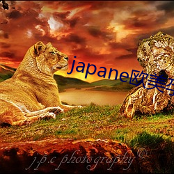 japane欧美孕交se孕妇 （人造）