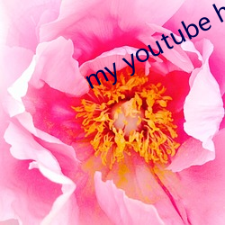 my youtube home