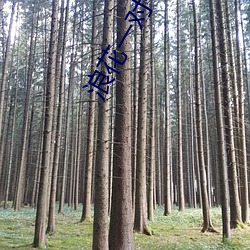 浪(làng)花一对(duì)一直播(bō)
