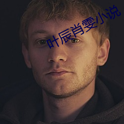 叶辰(chén)肖雯小说