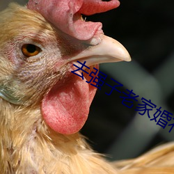 去(去)强(強)子老家(家)婚礼