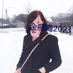 金瓶梅2023