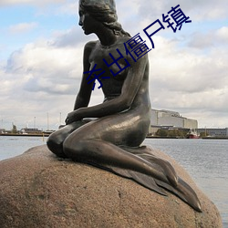 杀出僵尸镇 （鳏寡孤独）